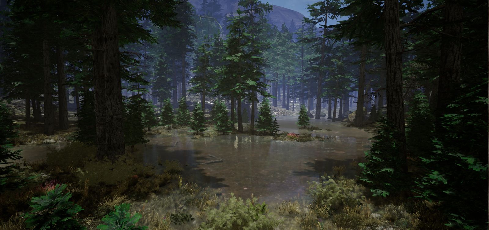 Misty forest pond